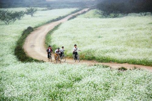 Family biking tour in Vietnam