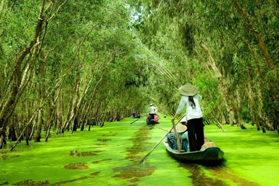 El delta del Mekong