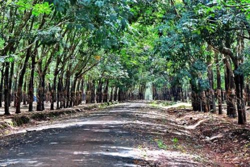 Viaje a campo de batalla en Vietnam 16 días