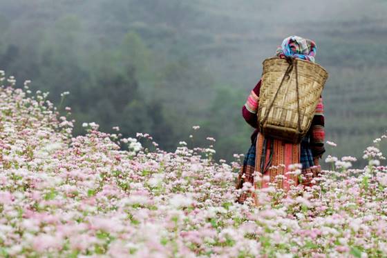 Ha Giang & the North 